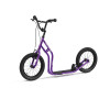 Culoare: violet