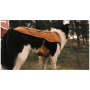 Haină pentru câini Ruffwear Overcoat Fuse™ Insulated Vest