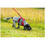 Ham pentru câini Mountain Paws Dog Harness