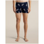 Boxeri funcționali bărbați Icebreaker Men M 150 Anatomica Boxers BearTourAOP
