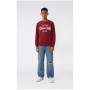 Hanorac copii Champion Crewneck Sweatshirt B GMS