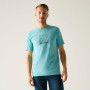 Tricou bărbați Regatta Cline IX