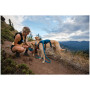 Ham pentru câini Ruffwear Switchbak™ Harness