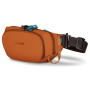 Borsetă Pacsafe ECO waist pack