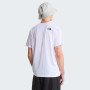 Tricou bărbați The North Face M Nse Reg Ss Tee-Graphic