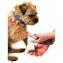 Trusă de prim ajutor pentru câini Mountain Paws Dog First Aid Kit