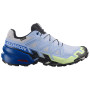 Încălțăminte de alergat pentru bărbați Salomon Speedcross 6 GTX Icon