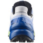 Încălțăminte de alergat pentru bărbați Salomon Speedcross 6 GTX Icon