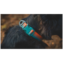 Zgardă pentru câini Ruffwear Front Range™ Collar