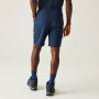 Pantaloni scurți bărbați Regatta Dalry Short