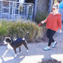 Lesă pentru câini Nite Ize RadDog™ Retractable Pocket Leash