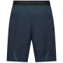 Pantaloni scurți bărbați Salewa Pedroc 4 Dst Cargo Short M