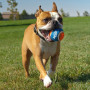 Jucărie pentru câini Nerf Dog Small Tennis Balls 3 pcs