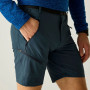 Pantaloni scurți bărbați Regatta Xert Stretch Shorts