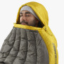Sac de dormit de puf Sea to Summit Spark 7C Regular
