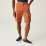 Pantaloni scurți bărbați Regatta Shorebay Short