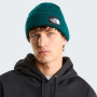 Căciulă The North Face Salty Lined Beanie