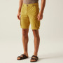 Pantaloni scurți bărbați Regatta Shorebay Shorts II