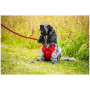Ham pentru câini Mountain Paws Dog Harness