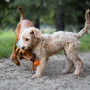 Jucărie pentru câini Explorer Dog AirBall 6,5 cm