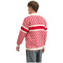 Pulover bărbați Dale of Norway Cortina 2026 Masc. Sweater