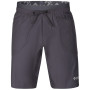 Pantaloni scurți bărbați Direct Alpine Solo Shorts 3.0 gri/negru anthracite
