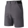 Pantaloni scurți bărbați Dare 2b Torrek II Short
