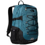 Culoare: albastru / negru