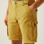 Pantaloni scurți bărbați Regatta Shorebay Shorts II