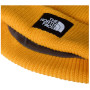 Căciulă The North Face Salty Lined Beanie