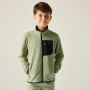 Hanorac copii Regatta Junior Frankie F/Z Light Sage