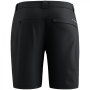 Pantaloni scurți bărbați Salewa Puez Talveno Dst Shorts M