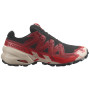 Încălțăminte de alergat pentru bărbați Salomon Speedcross 6 Gore-Tex