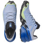 Încălțăminte de alergat pentru bărbați Salomon Speedcross 6 GTX Icon
