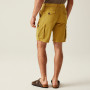 Pantaloni scurți bărbați Regatta Shorebay Shorts II