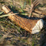 Jucărie pentru câini Explorer Dog Antler Chew easy