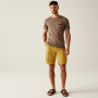 Pantaloni scurți bărbați Regatta Shorebay Shorts II