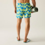 Costum de baie bărbați Regatta Loras Swim Short