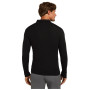 Tricou funcțional bărbați Icebreaker M 175 Everyday LS Half Zip