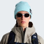 Căciulă The North Face Salty Lined Beanie