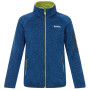 Hanorac copii Regatta Junior Newhill Aviator Blue Golden Cypress albastru AvBlu(GldCy)
