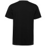 Tricou bărbați Alpine Pro Bolen 2