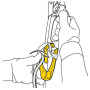 Carabinieră Petzl Rollclip A Triact-Lock