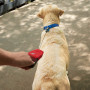 Lesă pentru câini Nite Ize RadDog™ Retractable Pocket Leash