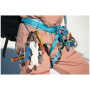 Ham Petzl Altitude
