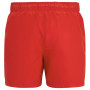 Costum de baie bărbați Regatta Mawson Swim Shorts III